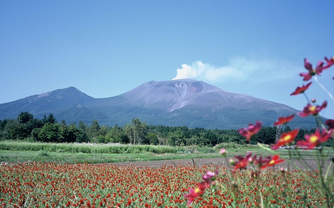 ホームページを開設しました